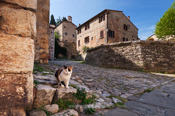 Rocca d'Orcia, Tuscany - Rocca d'Orcia, Toscane it01374