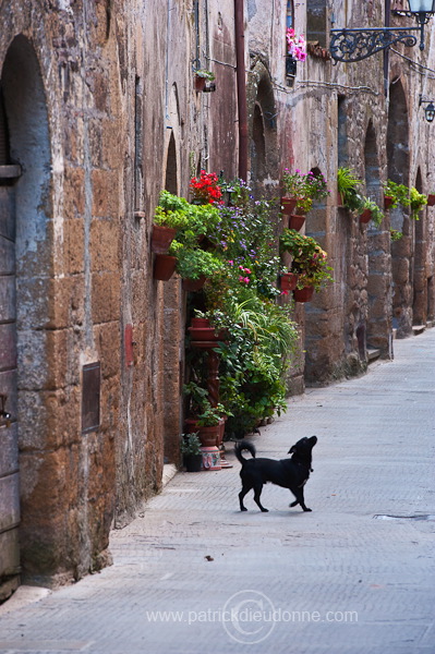 Pitigliano, Tuscany - Pitigliano, Toscane -  it01498