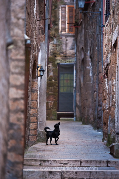 Pitigliano, Tuscany - Pitigliano, Toscane - it01501