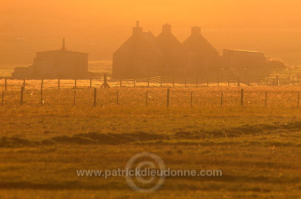 Fair Isle: abandoned houses at sunset, Shetland - Maisons abandonnées au couchant 13049