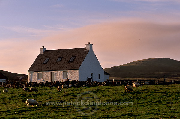 Fair Isle: house. Shetland.- Maison sur Fair Isle, Shetland  13052