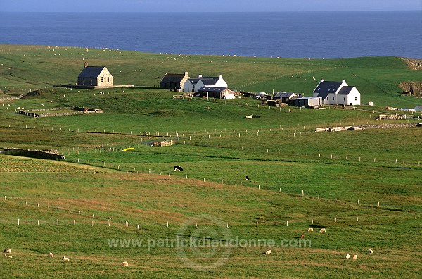 Fair Isle: houses. Shetland.- Maisons  sur Fair Isle, Shetland  13054