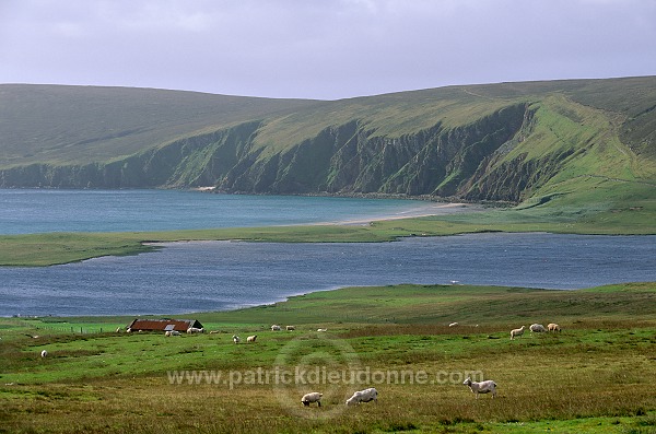 Papil Water and Tresta Wick, Fetlar, Shetland -  La baie de Tresta, Fetlar 13072