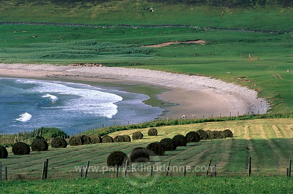 Croft, Fetlar, Shetland, Scotland - Champs sur l'île de Fetlar 13076