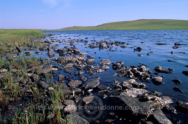 Fetlar: loch of Funzie, Shetland, Scotland -  lac de Funzie, Fetlar 13079