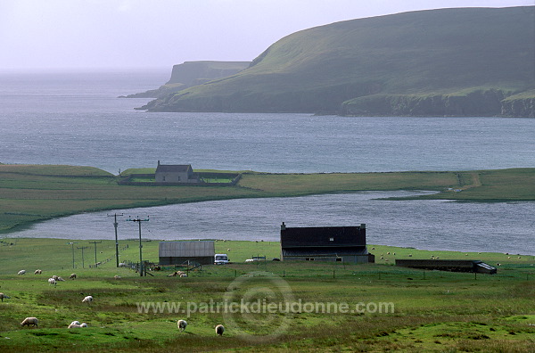 Papil Water and Tresta Wick, Fetlar, Shetland -  La baie de Tresta  13086