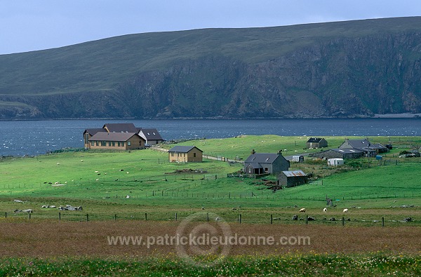 Houses and Tresta Wick, Fetlar, Shetland -  La baie de Tresta, Fetlar 13087