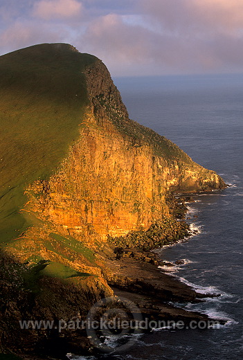 Foula, Shetland : The Noup (248 m) -  Falaises de The Noup, Foula 13135