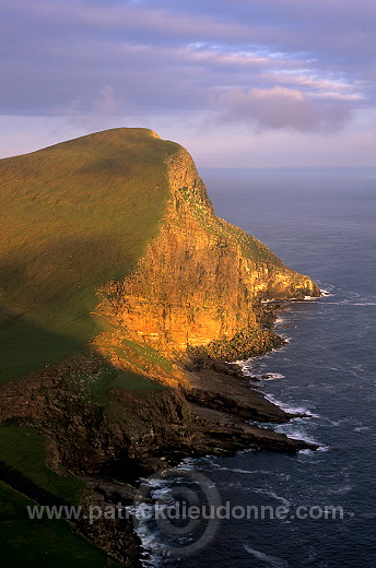 Foula, Shetland : The Noup (248 m) -  Falaises de The Noup, Foula 13138