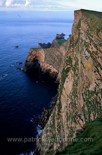 Foula, Shetland : da Nort Bank cliffs -  Falaise de Nort Bank, Foula  13112