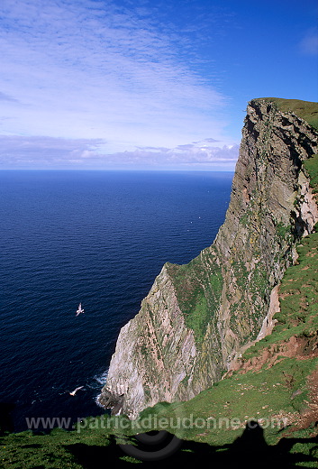 Foula, Shetland : The Kame (376 m) -  Falaise de The Kame, Foula  13115