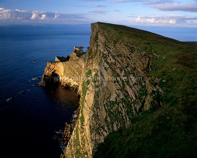 Foula, Shetland : da Nort Bank cliffs -  Falaise de Nort Bank, Foula 13123