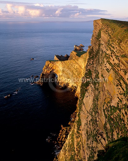 Foula, Shetland : da Nort Bank cliffs -  Falaise de Nort Bank, Foula  13124