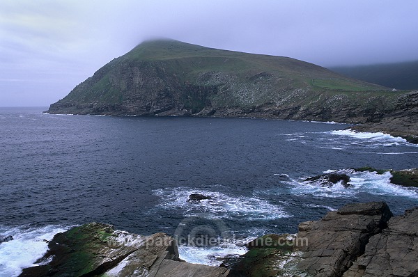 Foula, Shetland : The Noup (248 m) -  Falaises de The Noup, Foula  13145