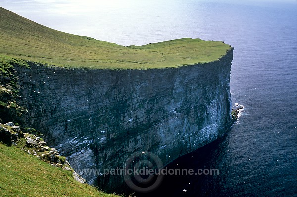 Foula, Shetland : Wester Hoevdi (150 m) - Falaise de West Hoevdi, Foula  13174