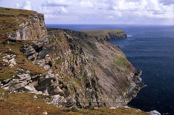 The Ord cliffs, Bressay island, Shetland. - Falaises, The Ord, Bressay 13184