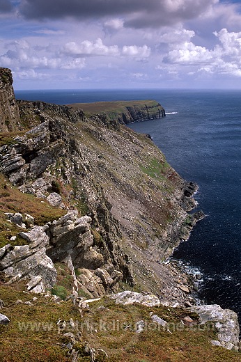 The Ord cliffs, Bressay island, Shetland. - Falaises, The Ord, Bressay 13187