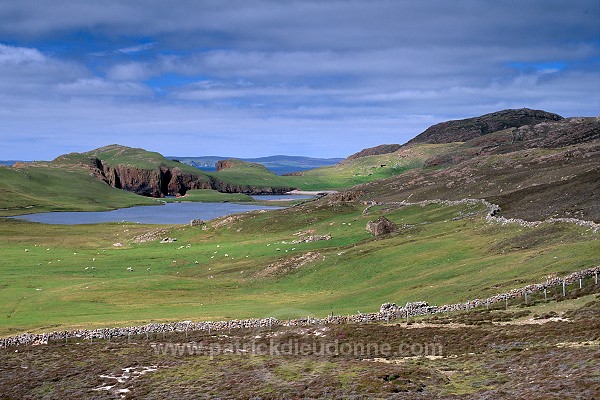 The Hams of Roe, Muckle Roe, Shetland, Scotland -  Muckle Roe, Shetland  13193