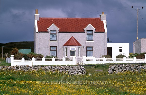 House and flowers, Whalsay, Shetland - Maison et fleurs sur Whalsay  12213