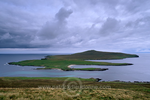 Noss National Nature Reserve, Shetland - Reserve nationale de Noss  13219