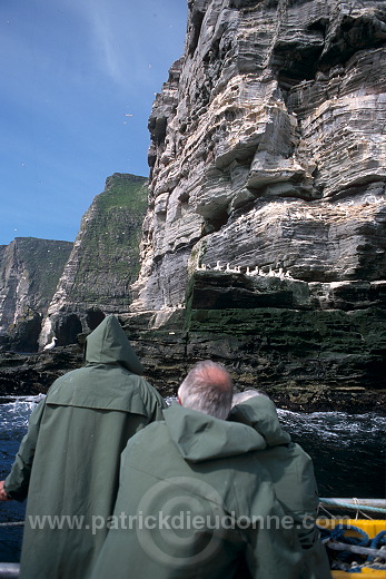 Noss National Nature Reserve, Shetland - Reserve nationale de Noss  13222