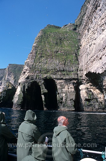 Noss National Nature Reserve, Shetland - Reserve nationale de Noss  13223
