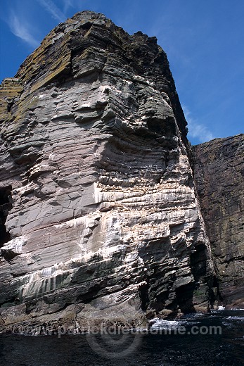 Noss National Nature Reserve, Shetland - Reserve nationale de Noss  13227