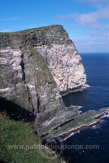 Noss National Nature Reserve, Shetland - Reserve nationale de Noss  13230