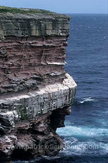 Noss National Nature Reserve, Shetland - Reserve nationale de Noss  13235