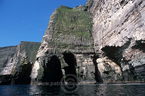 Noss National Nature Reserve, Shetland - Reserve nationale de Noss  13236