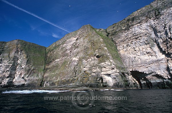 Noss National Nature Reserve, Shetland - Reserve nationale de Noss  13237