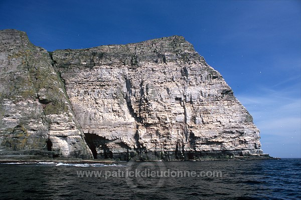 Noss National Nature Reserve, Shetland - Reserve nationale de Noss  13231