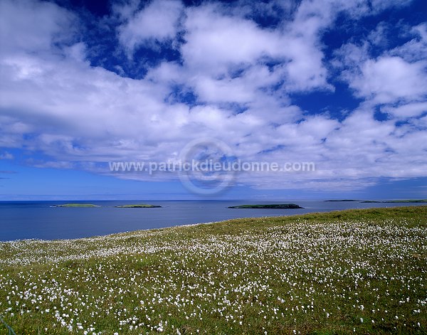 Whalsay island, Shetland - Ile de Whalsay, Shetland  13217