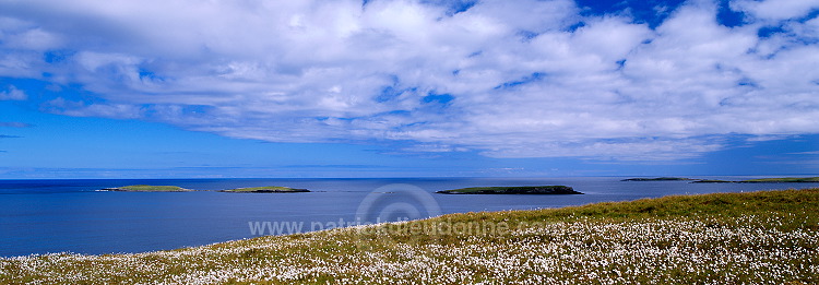 Whalsay island, Shetland - Ile de Whalsay, Shetland  13218