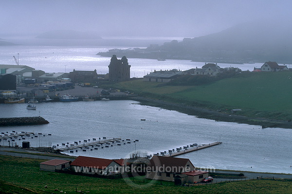 View of Scalloway and Scalloway castle, Shetland  - Vue de Scalloway  13302