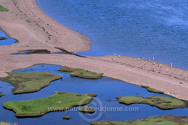 Bight of Haggrister, Northmavine, Shetland, Scotland - Baie de Haggrister 13320