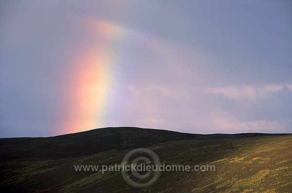 Rainbow over hills, Shetland - Arc-en-ciel sur les collines, Shetland  13329