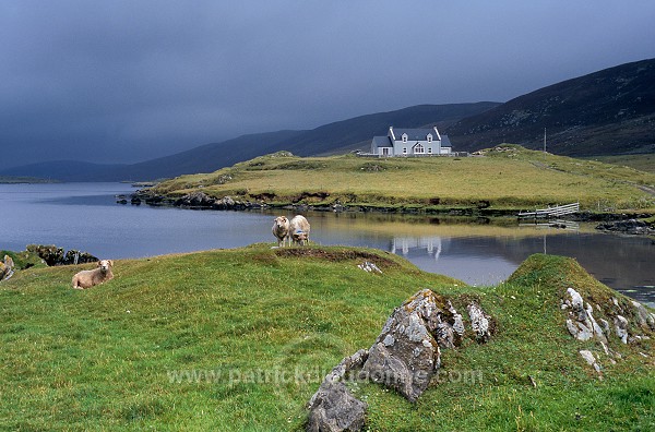 Hogaland, Whiteness, mainland, Shetland - Hogaland, Shetland  13334