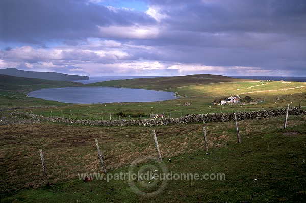 Shetland scenery, Shetland, Scotland -  Paysage des Shetland  13336