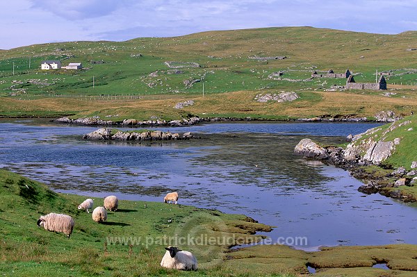 Tranquil scene, Lunna Ness, North Mainland, Shetland - Lunna Ness  13338