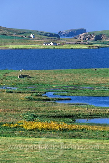 Loch of Spiggie Nature reserve,South Mainland, Shetland - Lac de Spiggie 13381