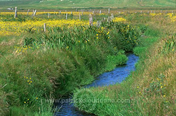 South Mainland: small burn and crofts - Champs et ruisseau, Shetland  13399