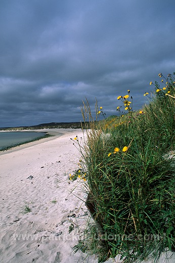 South Mainland Beach, Shetland -  plage sur Mainland sud, Shetland 13408