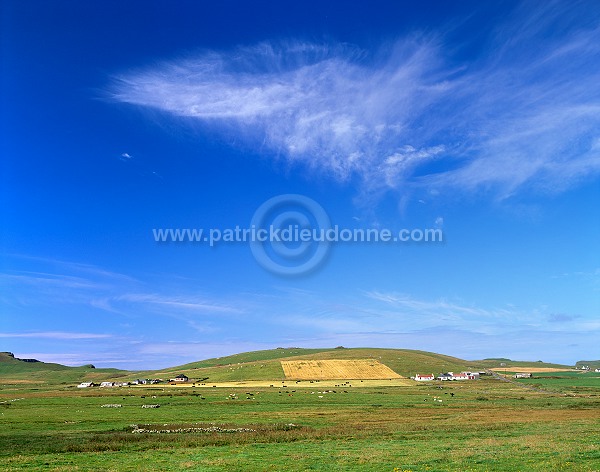 Crofts near Culsetter, South Mainland, Shetland - Champs près de Culsetter 13427