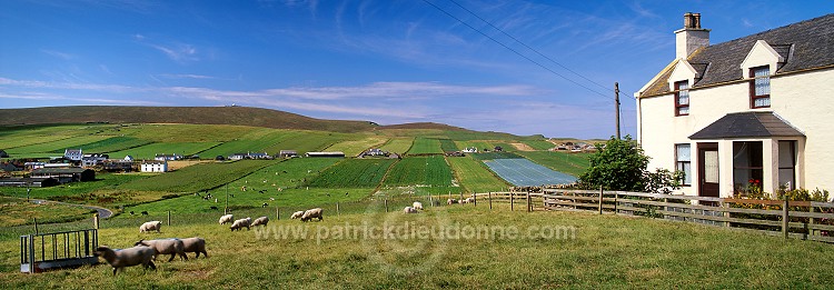 Ringasta, view towards Hillwell, South Mainland, Shetland. / Ringasta, Mainland Sud 13435