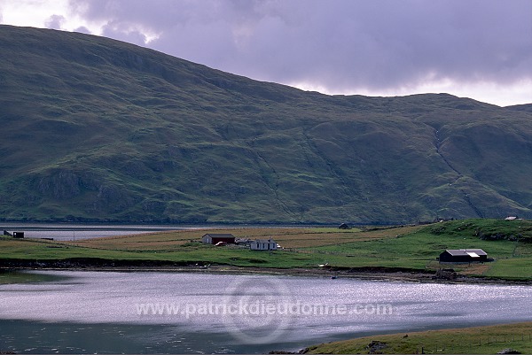 Houses, East Burra, Shetland - Maisons sur East Burra, Shetland 13416