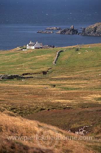 Ctrofthouse near Dales, West Mainland, Shetland - Maisonnette près de Dales 13454