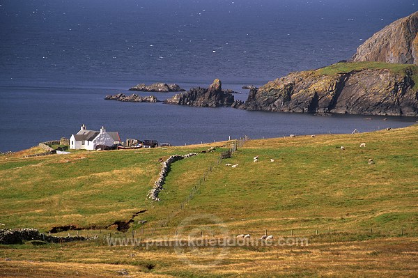 Ctrofthouse near Dales, West Mainland, Shetland - Maisonnette près de Dales 13455