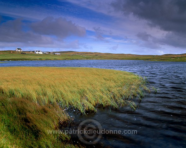 Small loch, Greenland, West Mainland, Shetland - Petit lac, West Mainland 13467