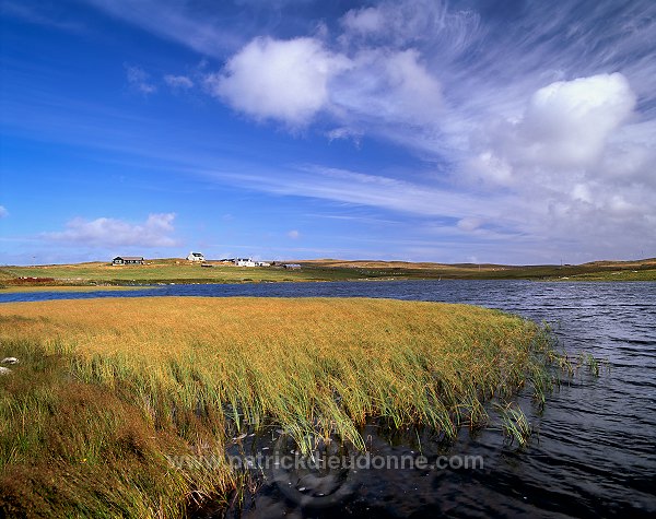 Small loch, Greenland, West Mainland, Shetland - Petit lac, West Mainland  13468